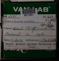 Image Associated With the Occurence